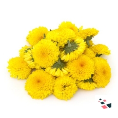 Marigold Bunch