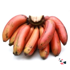 Banana - Red