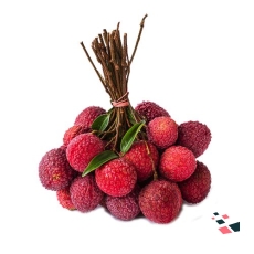 Litchi