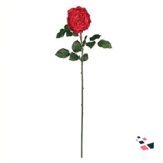 Rose Stems