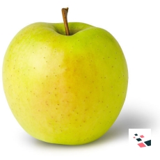 Golden apple
